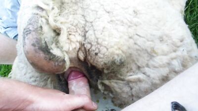 Dog girl 1: zoophilia bestiality hentai 3d