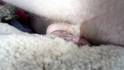 Dog sex porn: roblox zoophilia r34