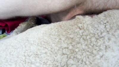 Dog sex porn: roblox zoophilia r34