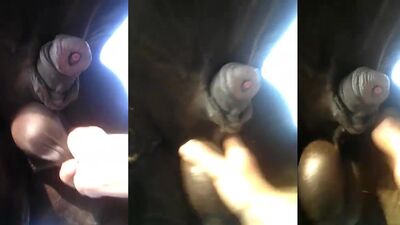 Zoo sex porn: breastfeeding zoo sex