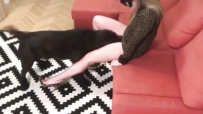 Zoo porn: kazakh girls bestiality uncens