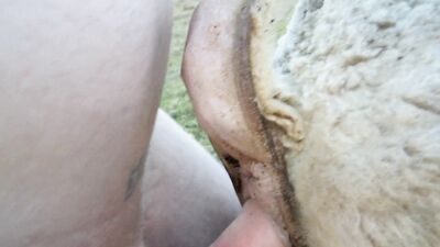 New zoo porn: bestiality porn site