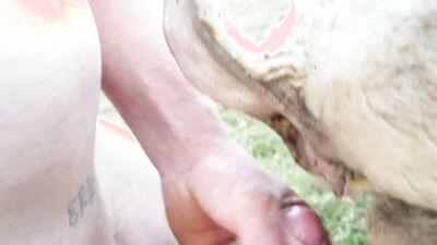 New zoo porn: bestiality porn site