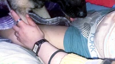 3d dog sex: asian dog sex