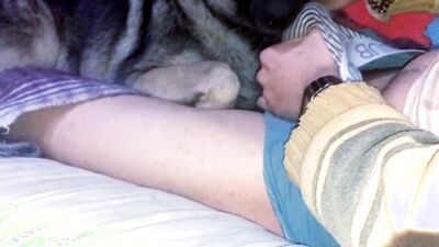 3d dog sex: asian dog sex