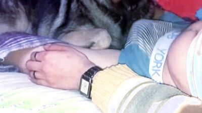 3d dog sex: asian dog sex