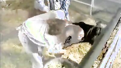 Zoo porn: dog fuck girl animal