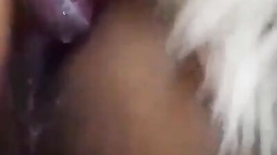 Bestiality sex: zoophilia 3d sex