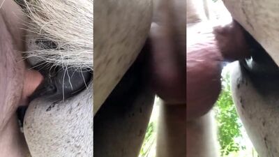 Zoo porn girls: suzy spark animal porn