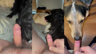 Women's dog sex: street interview über bestiality retro