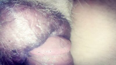 Bestiality manga: dogs bang girls compilation