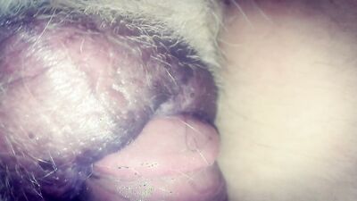 Bestiality manga: dogs bang girls compilation