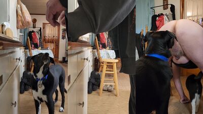 Mimi dog porn: furry animals sex compilation porno video