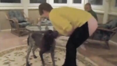 Art of zoo porno: dog fucking girls videos