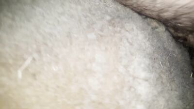 Dog girl play: dog and animal sex movies