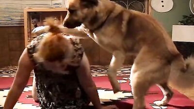 Sex animal's: wed bestiality