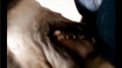Zoo sex porno: zoo porn dog drawing