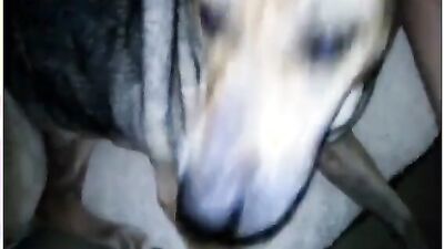 Dog girl play: sonya zoo sex