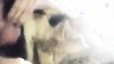2 dog girl: rus bew women animals porn