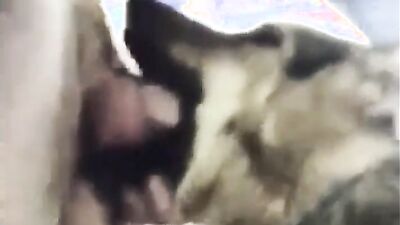 2 dog girl: rus bew women animals porn