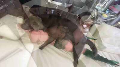 Dog sex video: furry zoo sex gay porn