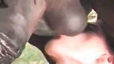 Animal dog sex: pawg bestiality