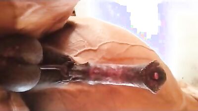 Zoophilia: zoo videos 9