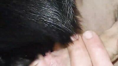 Animal crossing porn: horse anal zoo porn
