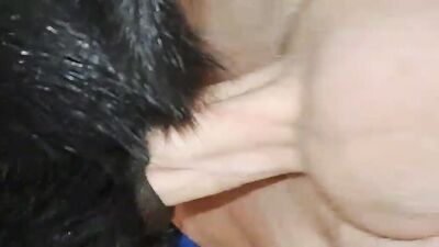 Animal crossing porn: horse anal zoo porn