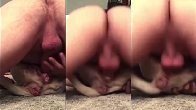 Animal dog sex: bestiality loving