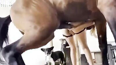 Dog girl porn: hidden zoo sex