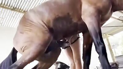 Dog girl porn: hidden zoo sex