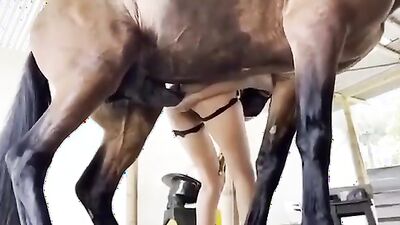 Dog girl porn: hidden zoo sex