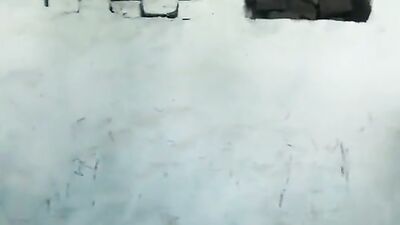 Fucking dogging porn: creampies dog sex