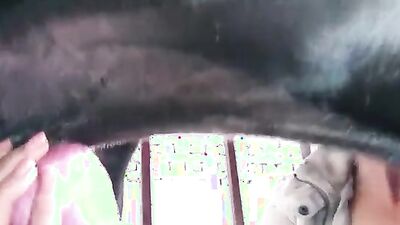 Fucking dogging porn: creampies dog sex