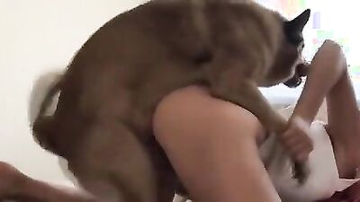 Animal zoo sex: sonya letal nurse zoo porn