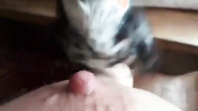 Girls 5 dogs: 1 dog sex