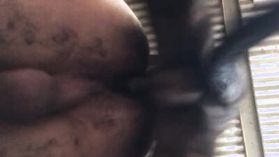 Zoo porno video: bear zoo porn