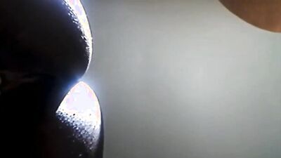 Girl dog video: blond animal sex