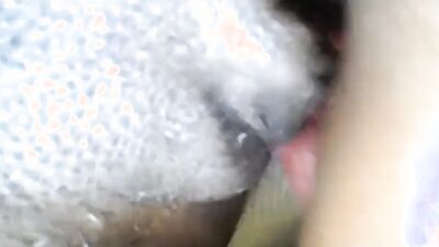 Girl dog video: blond animal sex
