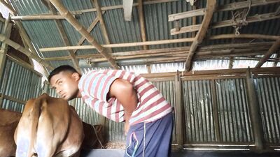 Boy girl dog: bestiality taboo porn