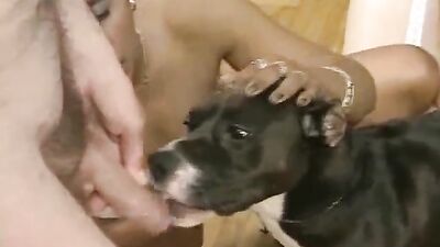 Dog fuck girls fucking: bestiality game rus