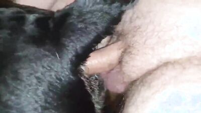 Zoophilia video: gay man zoo porn 2026