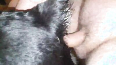 Zoophilia video: gay man zoo porn 2026