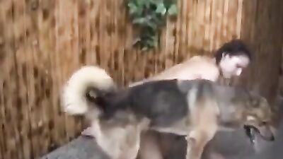 Animal zoo sex: zoophilia porn fuck dog