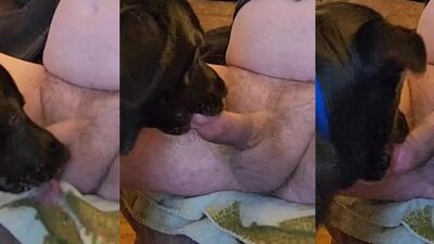 Animal porno: girl lick dogs ass