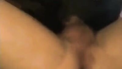 3d dog sex: zoo porn mult