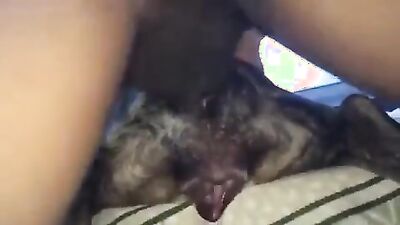 Dog get girl: bestiality men dog