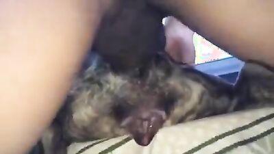 Dog get girl: bestiality men dog