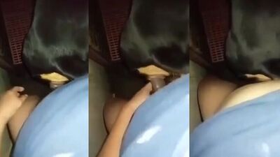 Zoo sex video: sex dog gerl